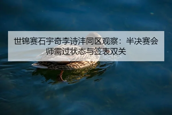 shi-jin-sai-shi-yu-qi-li-shi-feng-tong-qu-guan-cha-ban-jue-sai-hui-shi-xu-guo-zhuang-tai-yu-qian-biao-shuang-guan-2-122.jpg
